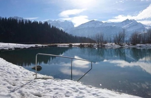 Hohfluh Apartamento | Ferienwohnung/app. für 5 Gäste mit 58m² in Hasliberg Hohfluh