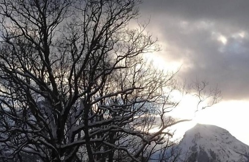 Hohfluh Apartamento | Ferienwohnung/app. für 5 Gäste mit 58m² in Hasliberg Hohfluh