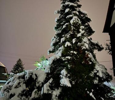 Eibau Apartamento | Ferienwohnung