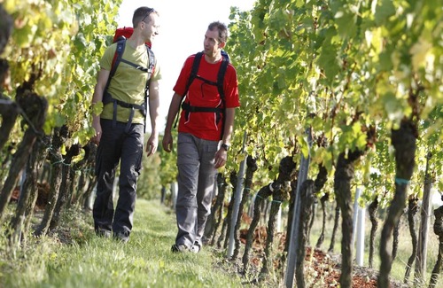 Bad Mingolsheim Apartamento | Apartamento Heinzmann con 110 m aprox, para un máximo de 4 personas