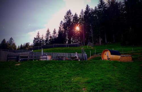 Gemeinde Wielfresen Apartamento | Ferienwohnung Kochs Beeren