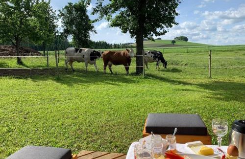 Peherstorf Apartamento | Ferienwohnung-Mühlviertel