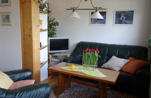 Rauenstein Apartamento | Ferienwohnung Panorama