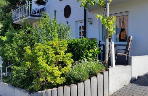 Rech Apartamento | Ferienwohnung Pollig