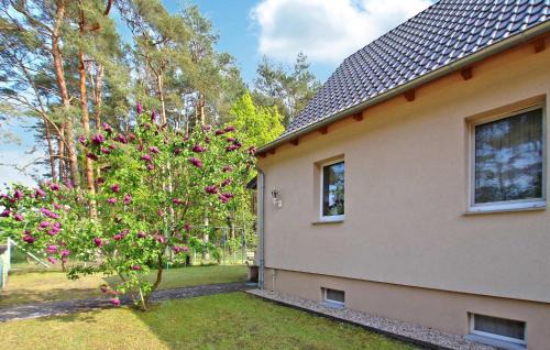Torgelow-Hollanderei Apartamento | Ferienwohnung Torgelow