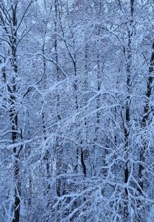 Nordhalben Apartamento | Ferienwohnung Vido - Nordhalben