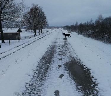 Marquartstein Apartamento | Ferienwohnung Wiadahoam