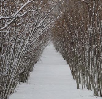 Sant'Alfio Casa | Feudo Magazzeni Etna
