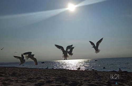 Insel Poel Apartamento | Fewo Abendrot