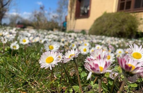 Insel Poel Apartamento | Fewo Abendrot