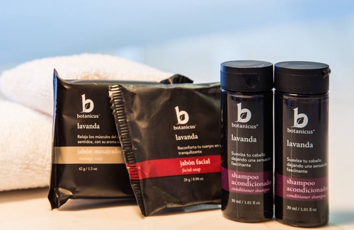 Centro cívico Hotel | Fiesta Inn Mexicali