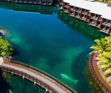 Momi Complejo | Fiji Marriott Resort Momi Bay