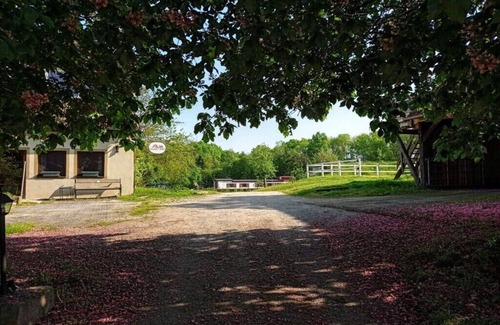 Wiesentheid Casa | Barco de película "Pea", extraordinaria casa flotante en tierra