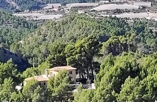 Callosa d' En Sarria Cabina | Finca Caracol