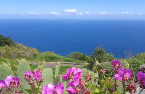 El Tanque Casa | Finca El Lance the green oasis in the north of Tenerife