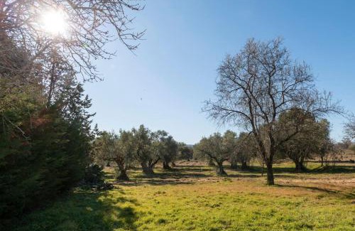 San Martín de Valdeiglesias Villa | Finca el Palomar de la Viña