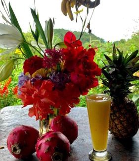 Puertas Azules Cabina | Finca Neblina del Bosque
