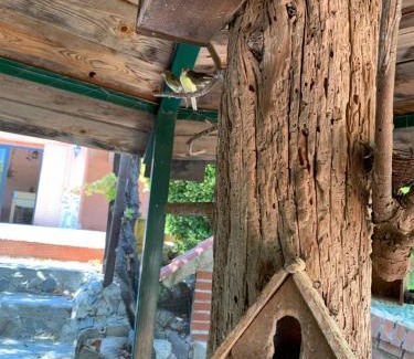 Moratalla Chalet De Esquí | Finca Vitoria