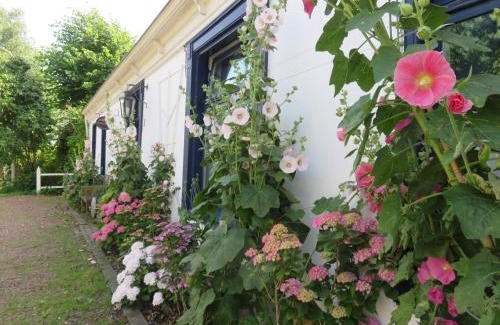 Saaxumhuizen Cama Y Desayuno | Finisterre