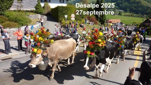 Charmey Apartamento | Fleur des alpes, Les Edelweiss