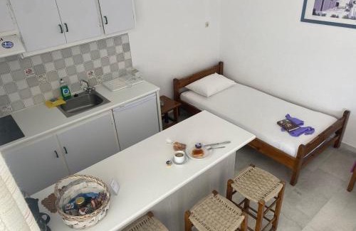 Apollonas Apartamento | Flora's Apartments