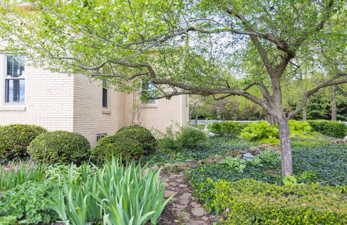 Dover Cabaña | Follow the Road to Yellowbrick