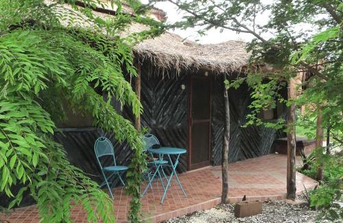 Gunjur Cabina | Footsteps Eco-Lodge