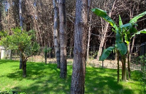 Golem Villa | Forest Cottage - middle of forest & near the beach