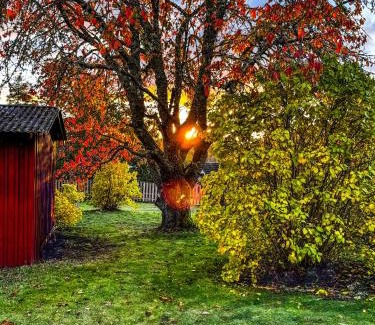 Rosenfors Casa | FoRest House