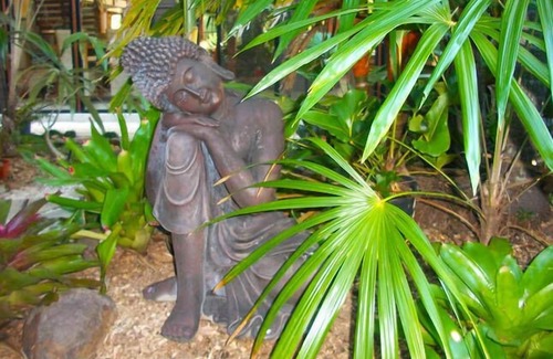 Captain Creek Apartamento | Forest Lodge: Estilo Bali Retreat