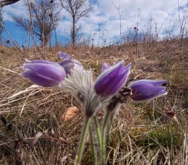 Josvafo Apartamento | Forrásvölgy vendégház
