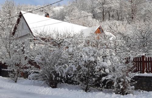 Josvafo Apartamento | Forrásvölgy vendégház