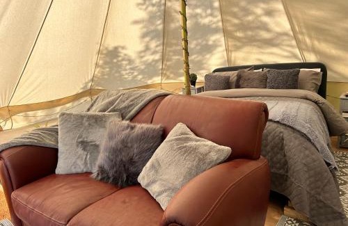 Hollacombe Otro | Foxglove