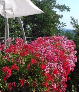 Montepetra Apartamento | Fra Bosco e Cielo B&B