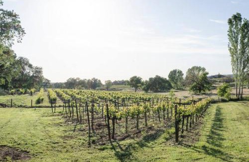 Shenandoah Valley Casa | Fraser Family Vineyard Estate Pet-Friendly Home