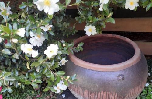 Moss Vale Apartamento | French Boutique Loft Apartment @Chapmans+breakfast