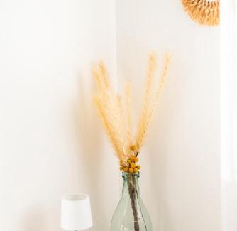 Biganos Villa | Frenchyhomes☆villapiscine☆8pers☆centrebassin