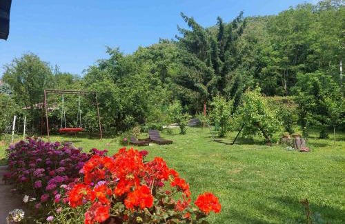 Petrovaradin Casa | Fruškogorska kuća - Andrevlje lounge, naselje Testera