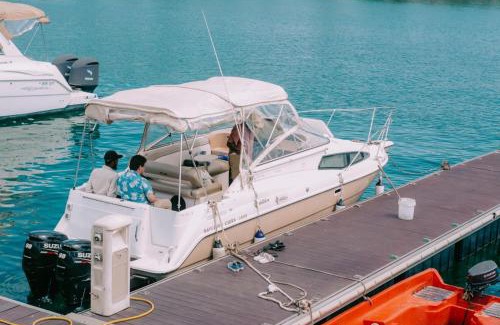 Masaki Alquiler De Eote | Full Day Cruise Mbudya