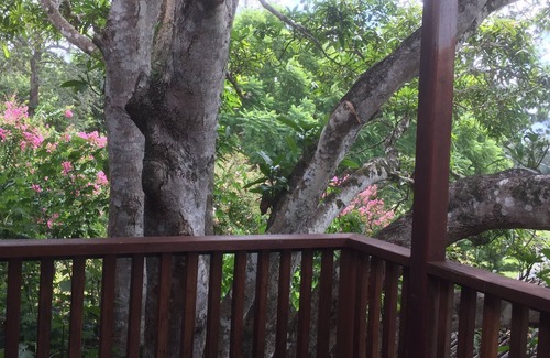 Bellingen Cabina | Totalmente separado, ubicado en el centro, tranquilo, privado, cabina abierta.