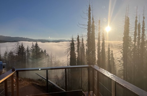 Boulder Creek Cabina | Fynix - Unique Container Home in Redwood Forests