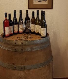 Wachenheim an der Weinstrasse Casa | Gästehaus Bacchus