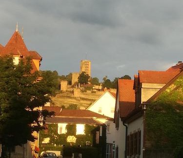 Wachenheim an der Weinstrasse Casa | Gästehaus Bacchus