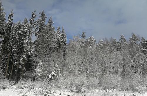 Wachenheim an der Weinstrasse Casa | Gästehaus Bacchus