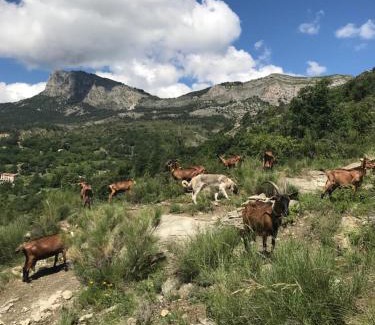 La Robine-sur-Galabre Casa | Gîte à la ferme La Bedigue