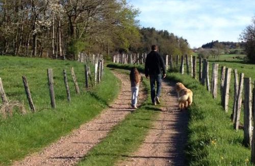 Belmont-de-la-Loire Casa | Gîte avec piscine, cheminée, jardin, et animaux acceptés - FR-1-496-32