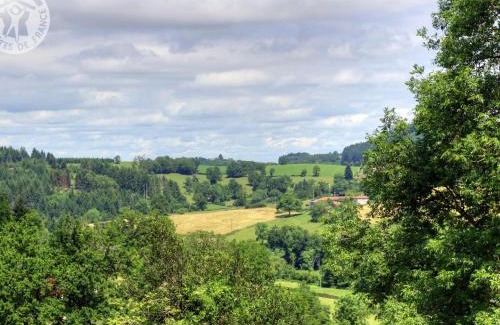 Belmont-de-la-Loire Casa | Gîte avec piscine, cheminée, jardin, et animaux acceptés - FR-1-496-32