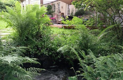 Epinal Casa | Gîte du ruisseau