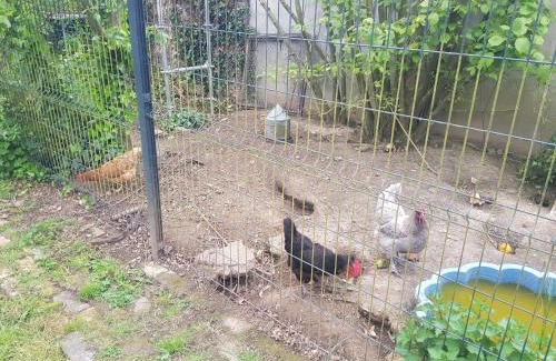 Blandainville Casa | Gîte du temps perdu