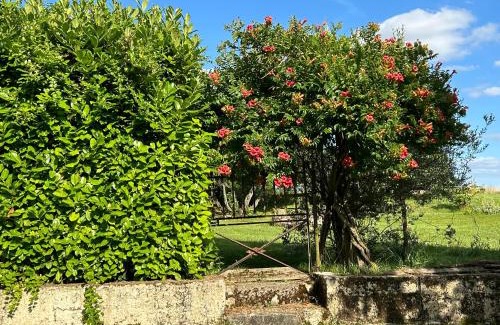 Crastes Apartamento | Gîte En Damé with private pool